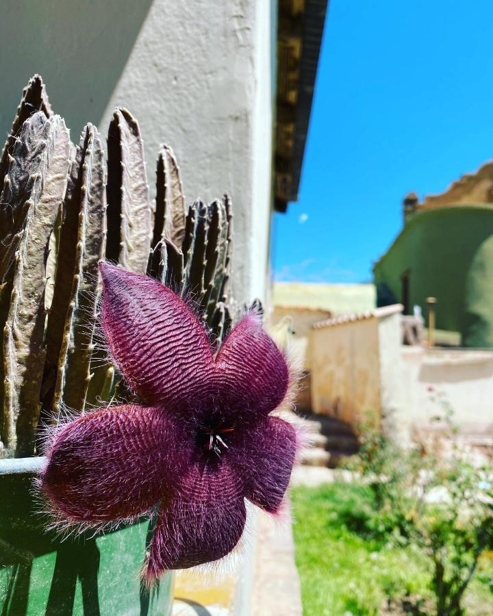 El Convento De Tilcara Bed and Breakfast Εξωτερικό φωτογραφία