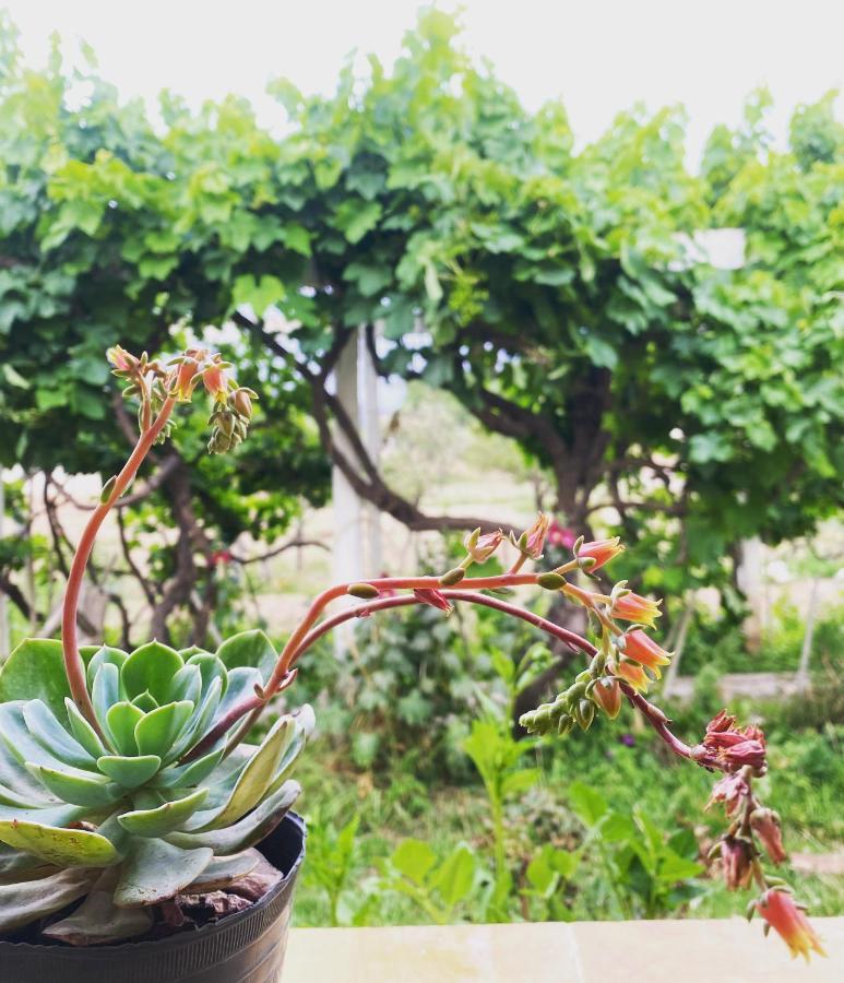 El Convento De Tilcara Bed and Breakfast Εξωτερικό φωτογραφία