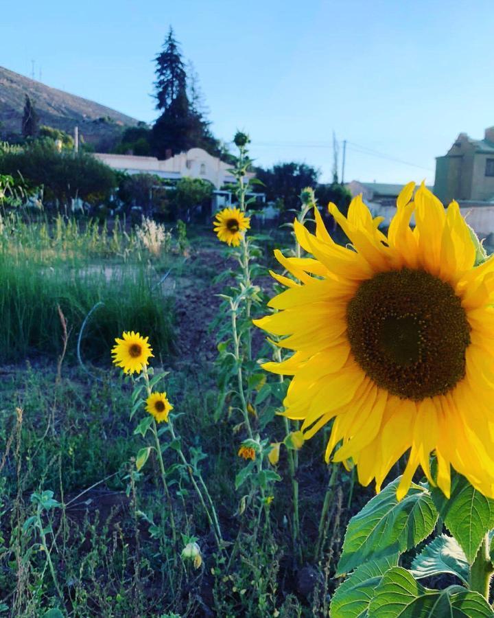 El Convento De Tilcara Bed and Breakfast Εξωτερικό φωτογραφία